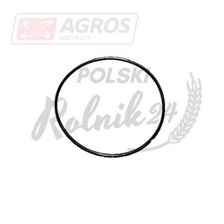 Pierścień ORING New Holland 241104