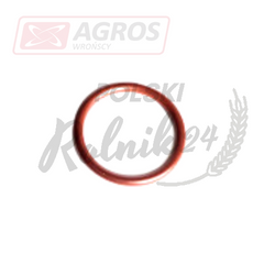ORING 167266