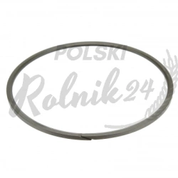USZCZELKA, pierścień uszczelniający 83911795