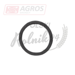 ORING 14453181